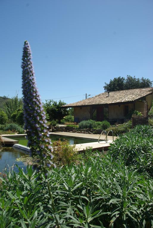 Quinta Do Arade - Casa 4 Petalas Barranco do Resgalho Eksteriør billede